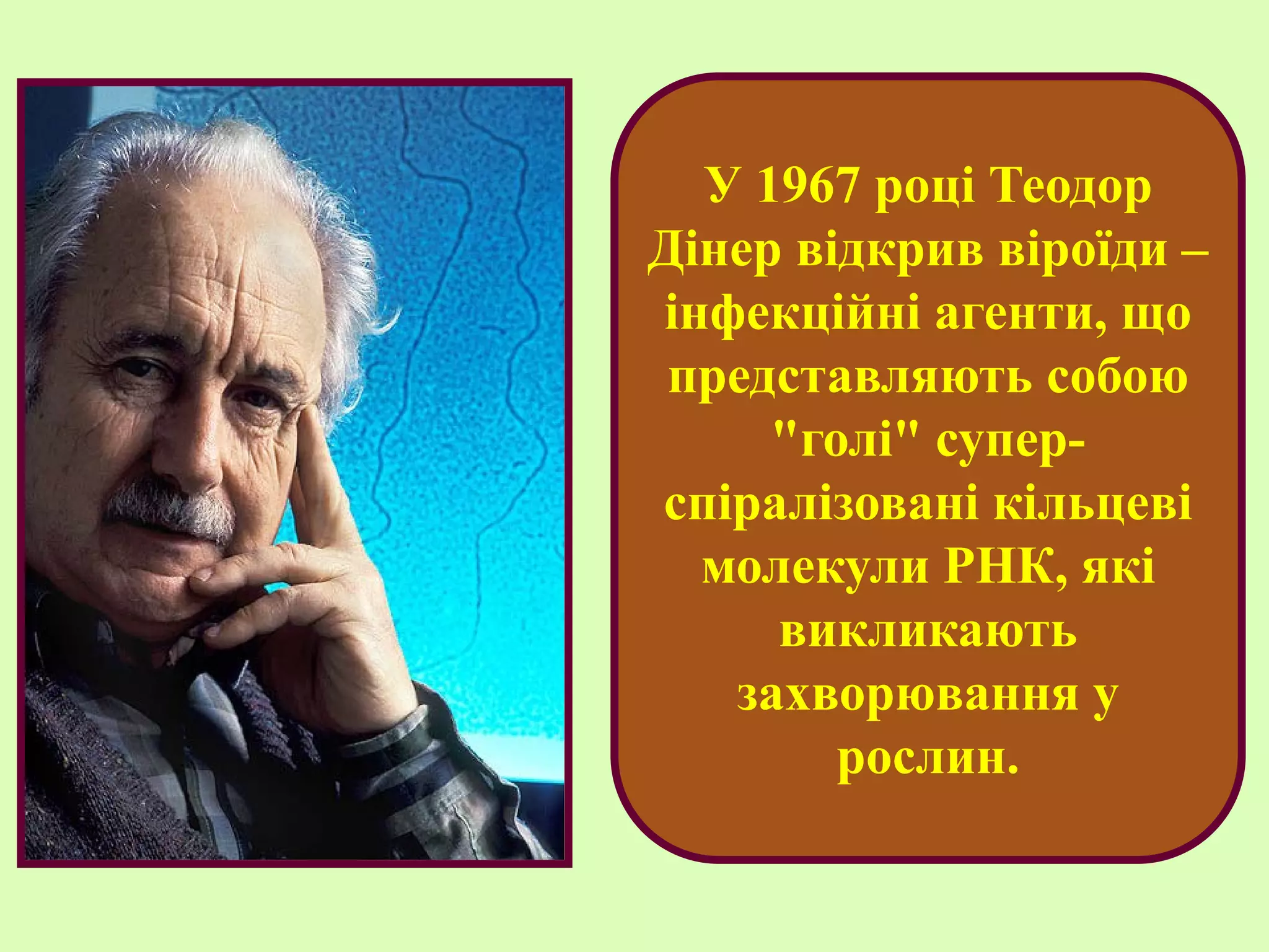 У 1967 році Теодор
Дінер відкрив віроїди –
інфекційні агенти, що
представляють собою
"голі" супер-
спіралізовані кільцеві
молекули РНК, які
викликають
захворювання у
рослин.
 