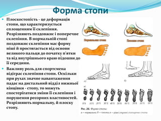 Дев'ятикласникам | PPT