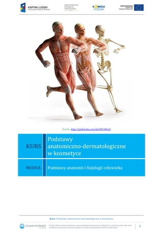 1
Kurs: Podstawy anatomiczno-dermatologiczne w kosmetyce
Źródło: http://pl.fotolia.com/id/49154612
KURS
Podstawy
anatomiczno-dermatologiczne
w kosmetyce
MODUŁ Podstawy anatomii i fizjologii człowieka
 