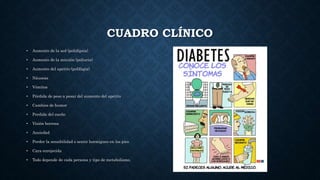 CUADRO CLÍNICO
• Aumento de la sed (polidipsia)
• Aumento de la micción (poliuria)
• Aumento del apetito (polifagia)
• Náuseas
• Vómitos
• Pérdida de peso a pesar del aumento del apetito
• Cambios de humor
• Perdida del sueño
• Visión borrosa
• Ansiedad
• Perder la sensibilidad o sentir hormigueo en los pies
• Cara enrojecida
• Todo depende de cada persona y tipo de metabolismo.
 