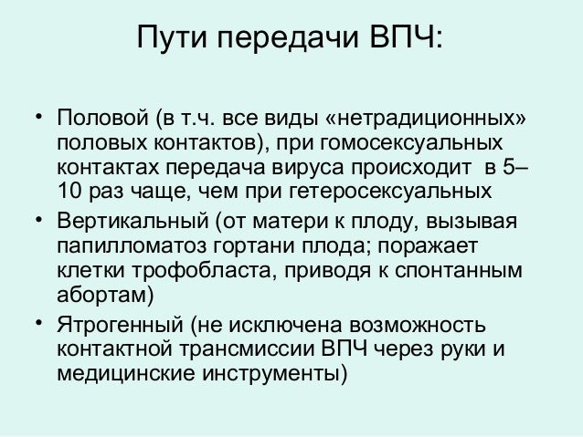 Папилломы на почках