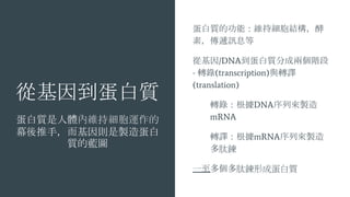 Ļ򵽵|
|wȾSּ\
Ļ֣tu쵰
|{D
|ĹܣSּY
أfӍϢ
Ļ/DNA|ֳɃɂA
- D(transcription)cDg
(translation)
D䛣DNAЁu
mRNA
DgmRNAЁu

һγɵ|
 