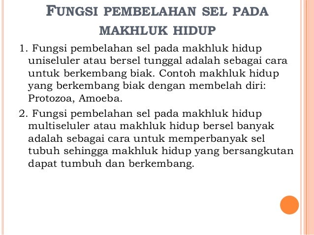1. macam macam mitosis, meiosis, amitosis