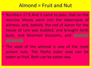 Almond = Fruit and Nut
• Numbers 17:8 And it came to pass, that on the
morrow Moses went into the tabernacle of
witness; and, behold, the rod of Aaron for the
house of Levi was budded, and brought forth
buds, and bloomed blossoms, and yielded
almonds.
• The seed of the almond is one of the most
potent nuts. The fleshy outer coat can be
eaten as fruit. Both can be eaten raw.
 