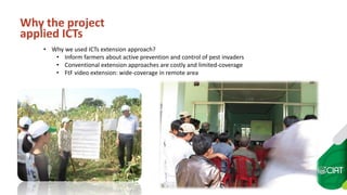 Farmer to Farmer video extension for cassava pest management in the SE Asia region