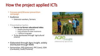 Farmer to Farmer video extension for cassava pest management in the SE Asia region