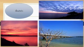 เขื่อนธลาปาว
 