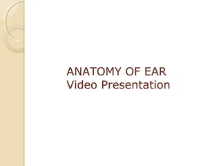 Anatomy of external ear
