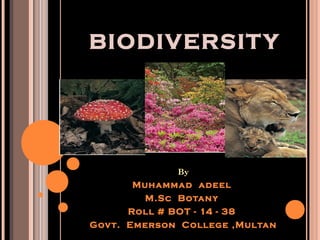 BIODIVERSITY
By
Muhammad adeel
M.Sc Botany
Roll # BOT - 14 - 38
Govt. Emerson College ,Multan
 
