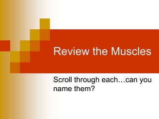 Review the Muscles
Scroll through each…can you
name them?
 
