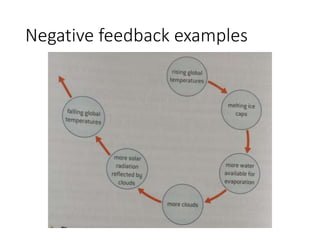 Negative feedback examples
 