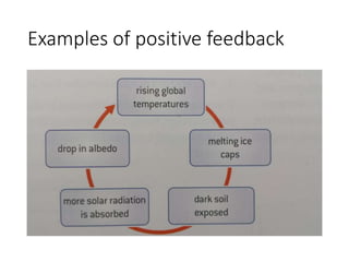 Examples of positive feedback
 