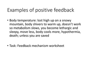 Examples of positive feedback
• Body temperature: lost high up on a snowy
mountain, body shivers to warm up, doesn’t work
so metabolism slows, you become lethargic and
sleepy, move less, body cools more, hypothermia,
death; unless you are saved
• Task: Feedback mechanism worksheet
 