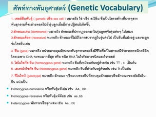 ศัพท์ทางพันธุศาสตร์ (Genetic Vocabulary)
1. เซลล์สืบพันธุ์ ( gamete หรือ sex cell ) หมายถึง ไข่ หรือ สเปิร์ม ซึ่งเป็นโครงสร้างที่บรรจุสาร
พันธุกรรมที่จะถ่ายทอดไปยังรุ่นลูกเมื่อมีการปฏิสนธิเกิดขึ้น
2.ลักษณะเด่น (dominance) หมายถึง ลักษณะที่ปรากฏออกมาในรุ่นลูกหรือรุ่นต่อๆ ไปเสมอ
3.ลักษณะด้อย (recessive) หมายถึง ลักษณะที่ไม่มีโอกาสปรากฎในรุ่นต่อไป เป็นยีนที่แฝงอยู่ และจะถูก
ข่มโดยยีนเด่น
4. ยีน (gene) หมายถึง หน่วยควบคุมลักษณะพันธุกรรมของสิ่งมีชีวิตซึ่งเป็นสารเคมีจาพวกกรดนิวคลิอิก
โดยเฉพาะ DNA จะพบมากที่สุด หรือ ชนิด RNA ในไวรัสบางชนิดและไวรอยด์
5. โฮโมไซกัส ยีน (homozygous gene) หมายถึง ยีนที่เหมือนกันอยู่ด้วยกัน เช่น TT , tt เป็นต้น
6. เฮเทอโรไซกัส ยีน (heterozygous gene) หมายถึง ยีนที่ต่างกันอยู่ด้วยกัน เช่น Tt เป็นต้น
7. จีโนไทป์ (genotype) หมายถึง ลักษณะ หรือแบบของยีนที่ควบคุมลักษณะหรือลักษณะของอัลลีลใน
ยีน แบ่งเป็น
 Homozygous dominance หรือพันธุ์แท้เด่น เช่น AA , BB
 Homozygous recessive หรือพันธุ์แท้ด้อย เช่น aa ,bb
 Heterozygous พันทางหรือลูกผสม เช่น Aa , Bb
 