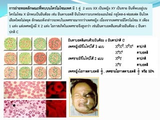 การถ่ายทอดลักษณะที่พบบนโครโมโซมเพศ มี 1 คู่ 2 แบบ XX เป็นหญิง XY เป็นชาย ยีนที่พบอยู่บน
โครโมโซม X มักพบเป็นยีนด้อย เช่น ยีนตาบอดสี ยีนโรคภาวะบกพร่องเอนไซม์ กลูโคส-6-ฟอสเฟต ยีนโรค
เลือดไหลไม่หยุด ลักษณะดังกล่าวจะพบในเพศชายมากกว่าเพศหญิง เนื่องจากเพศชายมีโครโมโซม X เพียง
1 แท่ง แต่เพศหญิงมี X 2 แท่ง โอกาสเกิดในเพศชายจึงสูงกว่า เช่นยีนตาบอดสีแทนด้วยยีนด้อย c ยีนตา
ปกติ C
 