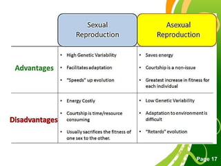 Free Powerpoint Templates
Page 17
 