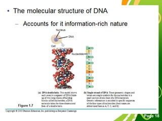 Free Powerpoint Templates
Page 18
 