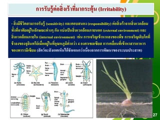 Free Powerpoint Templates
Page 27
การรับรู้ต่อสิ่งเร้าที่มากระตุ้น (Irritability)
- สิ่งมีชีวิตสามารถรับรู้ (sensitivity) และตอบสนอง (responsibility) ต่อสิ่งเร้าจากสิ่งแวดล้อม
ทั้งที่อาศัยอยู่ในลักษณะต่างๆ กัน แบ่งเป็นสิ่งแวดล้อมภายนอก (external environment) และ
สิ่งแวดล้อมภายใน (internal environment) เช่น การเจริญเข้าหาแสงของพืช การเจริญเติบโตที่
ช้าลงของจุลินทรีย์เมื่ออยู่ในที่อุณหภูมิต่ากว่า 4 องศาเซลเซียส การเคลื่อนที่เข้าหาสารอาหาร
ของพารามีเซียม (สัตว์จะสังเกตเห็นได้ชัดเจนกว่าเนื่องจากการพัฒนาของระบบประสาท)
 