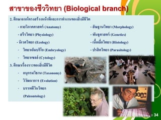 Free Powerpoint Templates
Page 34
2. ศึกษาจากโครงสร้างหน้าที่และการทางานของสิ่งมีชีวิต
- กายวิภาคศาสตร์ (Anatomy) - สัณฐานวิทยา (Morphology)
- สรีรวิทยา (Physiology) - พันธุศาสตร์ (Genetics)
- นิเวศวิทยา (Ecology) - เนื้อเยื่อวิทยา (Histology)
- วิทยาเอ็มบริโอ (Embryology) - ปรสิตวิทยา (Parasitology)
- วิทยาเซลล์ (Cytology)
3. ศึกษาเรื่องราวของสิ่งมีชีวิต
- อนุกรมวิธาน (Taxonomy)
- วิวัฒนาการ (Evolution)
- บรรพชีวินวิทยา
(Paleontology)
สาขาของชีววิทยา (Biological branch)
 