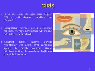  İç ve dış çevre ile ilgili tüm bilgiler
MSS’ne çeşitli duysal reseptörler ile
ulaştırılır
 Reseptörler çevrede çeşitli şekillerde
bulunan enerjiyi, nöronlarda AP şekline
dönüştüren çevireçlerdir
 Reseptör terimi sadece duysal
reseptörler için değil, aynı zamanda
spesifik bir cevabı başlatmak üzere
nörotransmitter, hormonlara bağlanan
proteinleri tanımlar
2
 