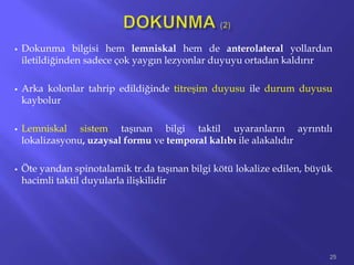  Dokunma bilgisi hem lemniskal hem de anterolateral yollardan
iletildiğinden sadece çok yaygın lezyonlar duyuyu ortadan kaldırır
 Arka kolonlar tahrip edildiğinde titreşim duyusu ile durum duyusu
kaybolur
 Lemniskal sistem taşınan bilgi taktil uyaranların ayrıntılı
lokalizasyonu, uzaysal formu ve temporal kalıbı ile alakalıdır
 Öte yandan spinotalamik tr.da taşınan bilgi kötü lokalize edilen, büyük
hacimli taktil duyularla ilişkilidir
25
 