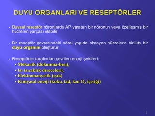 • Duysal reseptör nöronlarda AP yaratan bir nöronun veya özelleşmiş bir
hücrenin parçası olabilir
• Bir reseptör çevresindeki nöral yapıda olmayan hücrelerle birlikte bir
duyu organını oluşturur
• Reseptörler tarafından çevrilen enerji şekilleri:
 Mekanik (dokunma-bası),
 Isı (sıcaklık dereceleri),
 Elektromanyetik (ışık)
 Kimyasal enerji (koku, tad, kan O2 içeriği)
3
 