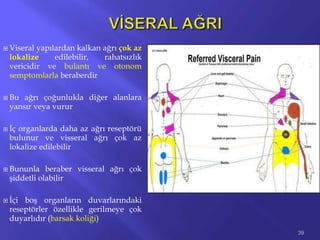  Viseral yapılardan kalkan ağrı çok az
lokalize edilebilir, rahatsızlık
vericidir ve bulantı ve otonom
semptomlarla beraberdir
 Bu ağrı çoğunlukla diğer alanlara
yansır veya vurur
 İç organlarda daha az ağrı reseptörü
bulunur ve visseral ağrı çok az
lokalize edilebilir
 Bununla beraber visseral ağrı çok
şiddetli olabilir
 İçi boş organların duvarlarındaki
reseptörler özellikle gerilmeye çok
duyarlıdır (barsak koliği)
39
 