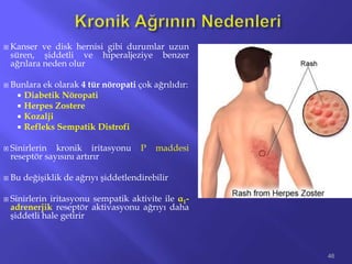  Kanser ve disk hernisi gibi durumlar uzun
süren, şiddetli ve hiperaljeziye benzer
ağrılara neden olur
 Bunlara ek olarak 4 tür nöropati çok ağrılıdır:
 Diabetik Nöropati
 Herpes Zostere
 Kozalji
 Refleks Sempatik Distrofi
 Sinirlerin kronik iritasyonu P maddesi
reseptör sayısını artırır
 Bu değişiklik de ağrıyı şiddetlendirebilir
 Sinirlerin iritasyonu sempatik aktivite ile α1-
adrenerjik reseptör aktivasyonu ağrıyı daha
şiddetli hale getirir
46
 