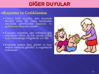 Kaşınma ve Gıdıklanma:
 Görece hafif uyarılar, deri üzerinde
hareket eden bir cisim tarafından
meydana getiriliyorsa kaşınma ve
gıdıklanma duyusu yaratır
 Kaşınma noktaları, ağrı noktaları gibi
miyelinsiz liflere ait çok sayıda çıplak
ucun bulunduğu bölgelerde yer alır
 Kaşınma sadece deri, gözler ve bazı
müköz zarlarda görülür, iç organlarda
bulunmaz
49
 