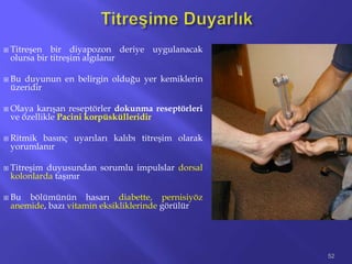  Titreşen bir diyapozon deriye uygulanacak
olursa bir titreşim algılanır
 Bu duyunun en belirgin olduğu yer kemiklerin
üzeridir
 Olaya karışan reseptörler dokunma reseptörleri
ve özellikle Pacini korpüskülleridir
 Ritmik basınç uyarıları kalıbı titreşim olarak
yorumlanır
 Titreşim duyusundan sorumlu impulslar dorsal
kolonlarda taşınır
 Bu bölümünün hasarı diabette, pernisiyöz
anemide, bazı vitamin eksikliklerinde görülür
52
 