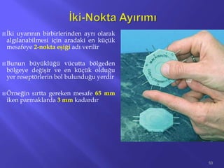  İki uyarının birbirlerinden ayrı olarak
algılanabilmesi için aradaki en küçük
mesafeye 2-nokta eşiği adı verilir
 Bunun büyüklüğü vücutta bölgeden
bölgeye değişir ve en küçük olduğu
yer reseptörlerin bol bulunduğu yerdir
 Örneğin sırtta gereken mesafe 65 mm
iken parmaklarda 3 mm kadardır
53
 