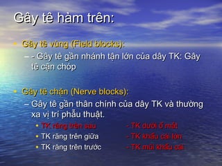 Gây tê hàm trên:Gây tê hàm trên:
• Gây tê vùngGây tê vùng (Field blocks):(Field blocks):
– - Gây tê gần nhánh tận lớn của dây TK: Gây- Gây tê gần nhánh tận lớn của dây TK: Gây
tê cận chóptê cận chóp
• Gây tê chặn (Nerve blocks):Gây tê chặn (Nerve blocks):
– Gây tê gần thân chính của dây TK và thườngGây tê gần thân chính của dây TK và thường
xa vị trí phẫu thuật.xa vị trí phẫu thuật.
• TK răng trên sauTK răng trên sau - TK dưới ổ mắt- TK dưới ổ mắt
• TK răng trên giữaTK răng trên giữa - TK khẩu cái lớn- TK khẩu cái lớn
• TK răng trên trướcTK răng trên trước - TK mũi khẩu cái- TK mũi khẩu cái
 