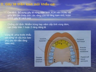- Chỉ định: Bổ sung gây tê vùng thần kinh XOR trên trước và
giữa khi can thiệp trên các răng cửa và răng hàm nhỏ, hoàn
chỉnh gây tê vách mũi
- Chống chỉ định: Nhiễm trùng hay viêm cấp tính vùng tiêm,
can thiệp trên 1 hoặc 2 răng riêng lẻ
Vùng tê: phía trước khẩu
cái cứng và cấu trúc bao
phủ cho tới viền răng
hàm nhỏ
3. Gây tê thần kinh mũi khẩu cái
 