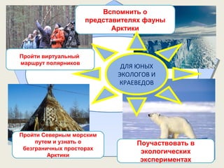 Поучаствовать в
экологических
экспериментах
Вспомнить о
представителях фауны
Арктики
ДЛЯ ЮНЫХ
ЭКОЛОГОВ И
КРАЕВЕДОВ
Пройти виртуальный
маршрут полярников
Пройти Северным морским
путем и узнать о
безграничных просторах
Арктики
 