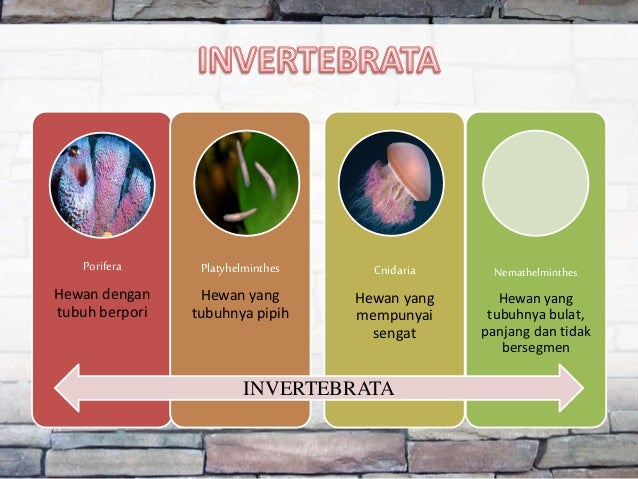 1 b indonesia peta konsep