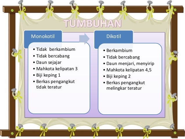 1 B Indonesia Peta Konsep