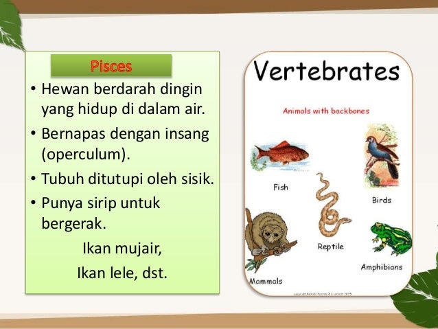 1 b indonesia peta konsep 1 b indonesia peta konsep