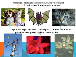 Внаслідок проведених досліджень було встановлено:
В світі тварин її можна знайти завжди.
Проте в світі рослин вона ... може бути ... ...а може і не бути. В
рослинах симетрію не скрізь вдалося знайти.
 