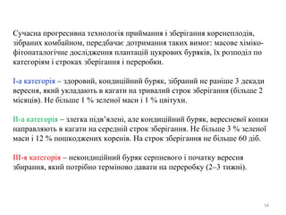 34
Сучасна прогресивна технологія приймання і зберігання коренеплодів,
зібраних комбайном, передбачає дотримання таких вимог: масове хіміко-
фітопаталогічне дослідження плантацій цукрових буряків, їх розподіл по
категоріям і строках зберігання і переробки.
І-а категорія – здоровий, кондиційний буряк, зібраний не раніше 3 декади
вересня, який укладають в кагати на тривалий строк зберігання (більше 2
місяців). Не більше 1 % зеленої маси і 1 % цвітухи.
ІІ-а категорія – злегка підв’ялені, але кондиційний буряк, вересневої копки
направляють в кагати на середній строк зберігання. Не більше 3 % зеленої
маси і 12 % пошкоджених коренів. На строк зберігання не більше 60 діб.
ІІІ-я категорія – некондиційний буряк серпневого і початку вересня
збирання, який потрібно терміново давати на переробку (2–3 тижні).
 