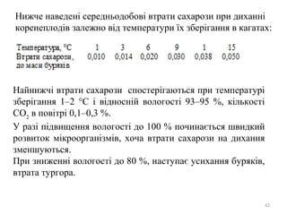 Нижче наведені середньодобові втрати сахарози при диханні
коренеплодів залежно від температури їх зберігання в кагатах:
Найнижчі втрати сахарози спостерігаються при температурі
зберігання 1–2 °С і відносній вологості 93–95 %, кількості
СО2
в повітрі 0,1–0,3 %.
У разі підвищення вологості до 100 % починається швидкий
розвиток мікроорганізмів, хоча втрати сахарози на дихання
зменшуються.
При зниженні вологості до 80 %, наступає усихання буряків,
втрата тургора.
42
 