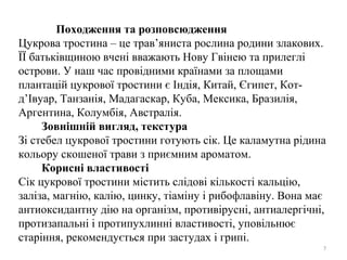Походження та розповсюдження
Цукрова тростина – це трав’яниста рослина родини злакових.
ЇЇ батьківщиною вчені вважають Нову Гвінею та прилеглі
острови. У наш час провідними країнами за площами
плантацій цукрової тростини є Індія, Китай, Єгипет, Кот-
д’Івуар, Танзанія, Мадагаскар, Куба, Мексика, Бразилія,
Аргентина, Колумбія, Австралія.
Зовнішній вигляд, текстура
Зі стебел цукрової тростини готують сік. Це каламутна рідина
кольору скошеної трави з приємним ароматом.
Корисні властивості
Сік цукрової тростини містить слідові кількості кальцію,
заліза, магнію, калію, цинку, тіаміну і рибофлавіну. Вона має
антиоксидантну дію на організм, противірусні, антиалергічні,
протизапальні і протипухлинні властивості, уповільнює
старіння, рекомендується при застудах і грипі.
7
 