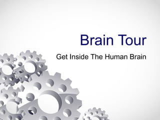 Brain Tour
Get Inside The Human Brain
 