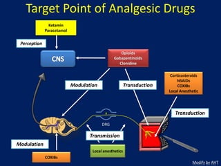 Multimodal Regiments for Acute Pain Management - Prof. A. Husni Tanra ...