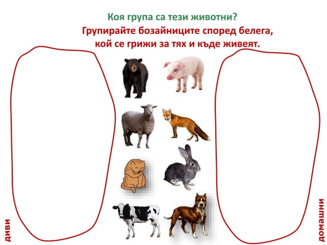 Диви и домашни животни 1.клас нов | PPT