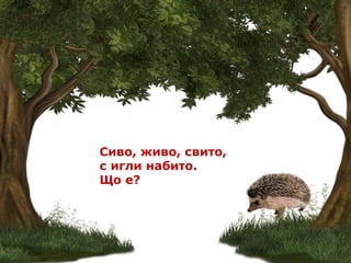 Сиво, живо, свито,
с игли набито.
Що е?
 
