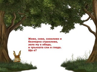 Живо, сиво, скокливо и
безмерно страхливо,
зеле му е обеда,
в трънката спи и гледа.
Що е?
 