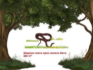 Шарена тояга през полето бяга.
Що е?
 