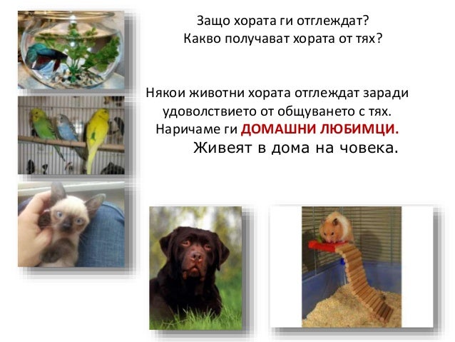 Диви и домашни животни 1.клас нов