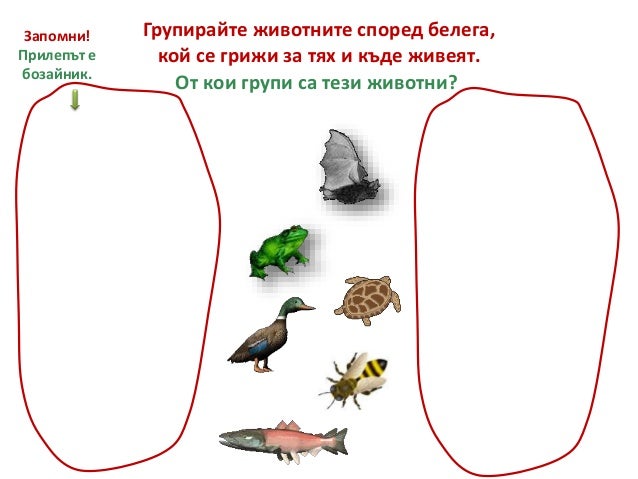 Диви и домашни животни 1.клас нов