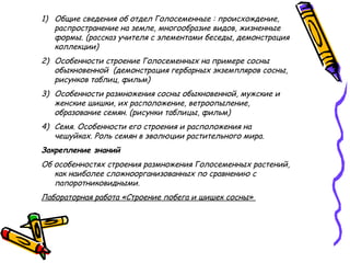 1) Общие сведения об отдел Голосеменные : происхождение,
распространение на земле, многообразие видов, жизненные
формы. (рассказ учителя с элементами беседы, демонстрация
коллекции)
2) Особенности строение Голосеменных на примере сосны
обыкновенной (демонстрация гербарных экземпляров сосны,
рисунков таблиц, фильм)
3) Особенности размножения сосны обыкновенной, мужские и
женские шишки, их расположение, ветроопыление,
образование семян. (рисунки таблицы, фильм)
4) Семя. Особенности его строения и расположения на
чешуйках. Роль семян в эволюции растительного мира.
Закрепление знаний
Об особенностях строения размножения Голосеменных растений,
как наиболее сложноорганизованных по сравнению с
папоротниковидными.
Лабораторная работа «Строение побега и шишек сосны»
 